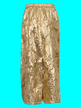 Load image into Gallery viewer, Golden Era