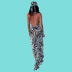 Zebra Summer